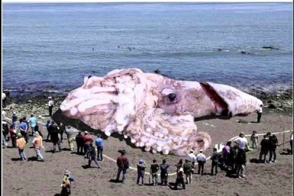 Кракен вход ссылка kraken torion net