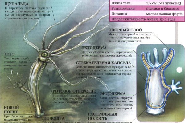 Kraken в россии