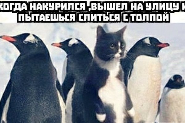 Через какой браузер зайти на кракен