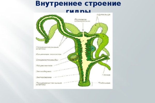 Kraken это современный маркетплейс