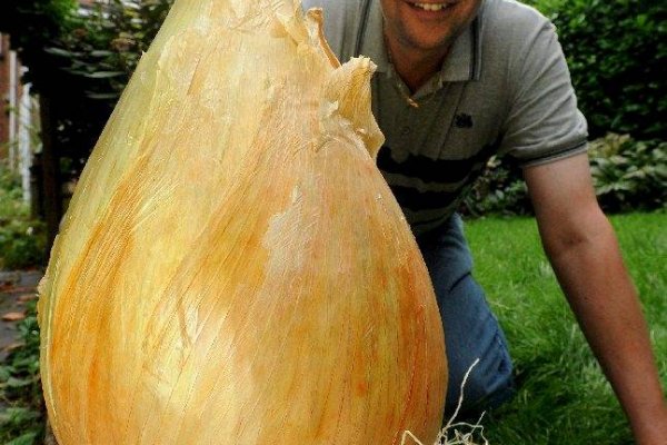 Магазины с наркотиками
