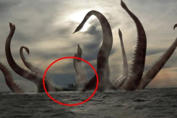 Где найти рабочую ссылку на кракен