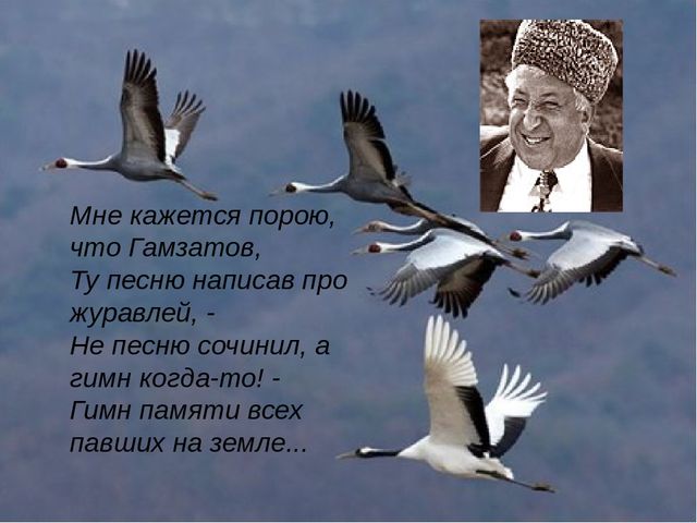 Ссылка кракен сегодня