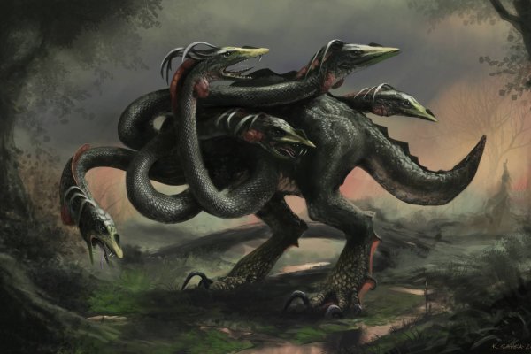 Kraken 13at